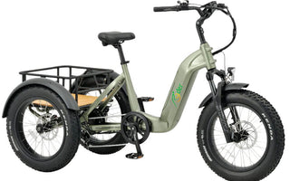 Expert Guide to Choosing the Right Electric Trike