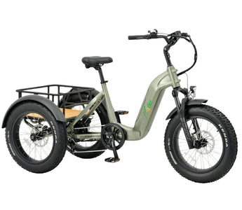 Expert Guide to Choosing the Right Electric Trike