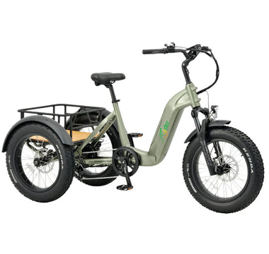 Expert Guide to Choosing the Right Electric Trike